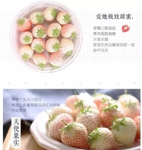 巾幗農(nóng)創(chuàng)銷萬(wàn)戶 路橋優(yōu)質(zhì)農(nóng)產(chǎn)品線上購(gòu)