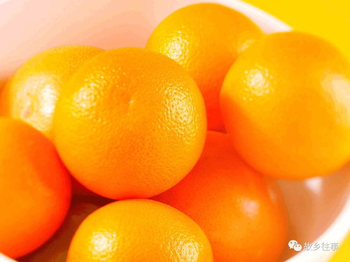 故鄉(xiāng)的滋味 贛南臍橙11月12日正式開(kāi)摘