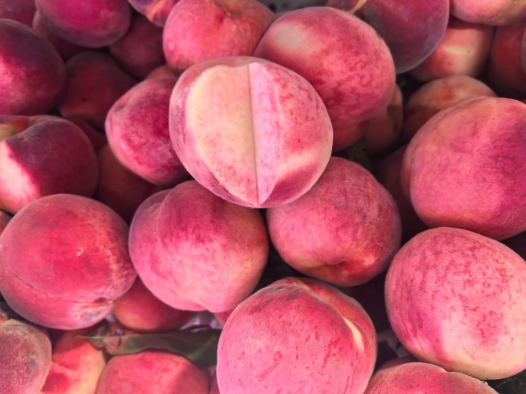 比領(lǐng)導(dǎo)都忙的優(yōu)質(zhì)初級(jí)農(nóng)產(chǎn)品