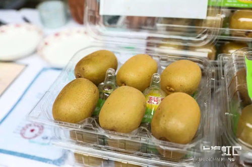 助力脫貧攻堅(jiān)，品味地道風(fēng)物——魯迅公園特色農(nóng)產(chǎn)品直銷活動(dòng)正式啟動(dòng)