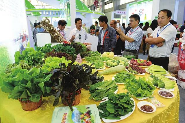 我市在第十九屆中國綠博會(huì)上斬獲佳績(jī) 初級(jí)農(nóng)產(chǎn)品成亮點(diǎn)