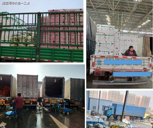 從田間到餐桌的低溫旅程 初級(jí)農(nóng)產(chǎn)品冷鏈的真實(shí)模樣與未來五大發(fā)力點(diǎn)